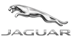 Jaguar Key Cover